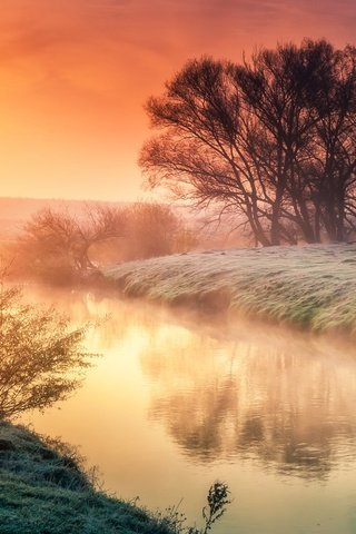 Обои деревья, река, солнце, природа, пейзаж, утро, рассвет, trees, river, the sun, nature, landscape, morning, dawn разрешение 2880x1800 Загрузить