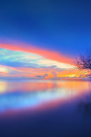 Обои небо, облака, озеро, дерево, закат, отражение, пейзаж, chaiyun, the sky, clouds, lake, tree, sunset, reflection, landscape разрешение 1920x1200 Загрузить