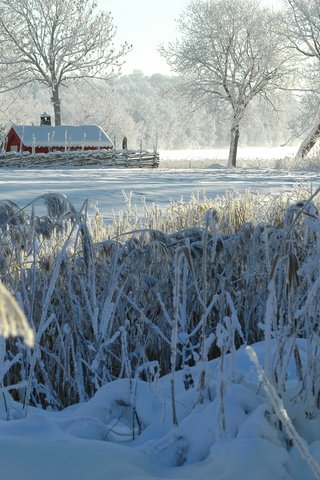 Обои деревья, снег, природа, зима, кусты, иней, деревня, домик, trees, snow, nature, winter, the bushes, frost, village, house разрешение 2880x1800 Загрузить