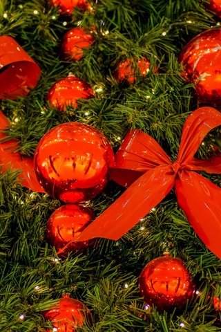 Обои новый год, елка, шары, украшения, лента, рождество, елочные игрушки, банты, new year, tree, balls, decoration, tape, christmas, christmas decorations, bows разрешение 1920x1200 Загрузить