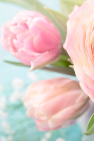 Обои цветы, лепестки, букет, ранункулюсы, flowers, petals, bouquet, ranunculus разрешение 3840x2400 Загрузить