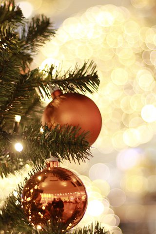 Обои новый год, елка, украшения, рождество, new year, tree, decoration, christmas разрешение 3840x2400 Загрузить