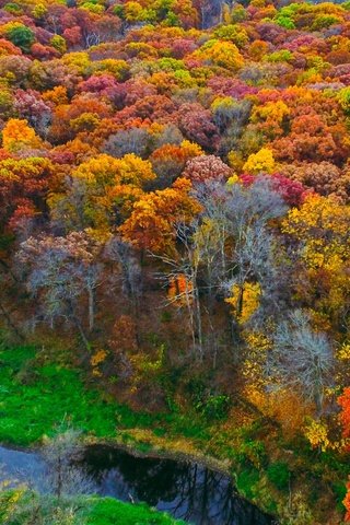 Обои деревья, река, природа, лес, листья, осень, trees, river, nature, forest, leaves, autumn разрешение 2880x1800 Загрузить