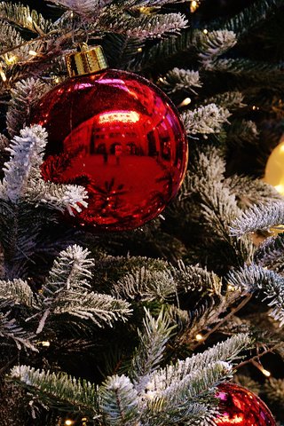 Обои новый год, елка, шары, иней, рождество, елочные игрушки, гирлянда, new year, tree, balls, frost, christmas, christmas decorations, garland разрешение 3840x2400 Загрузить