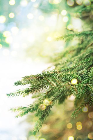 Обои новый год, елка, хвоя, ветки, блики, рождество, боке, new year, tree, needles, branches, glare, christmas, bokeh разрешение 2880x1800 Загрузить
