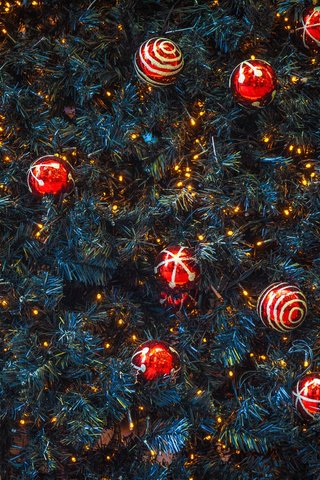 Обои новый год, елка, рождество, елочные игрушки, mark and renae, new year, tree, christmas, christmas decorations разрешение 2048x1365 Загрузить
