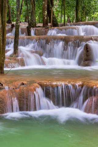 Обои деревья, река, природа, лес, стволы, водопады, trees, river, nature, forest, trunks, waterfalls разрешение 1920x1200 Загрузить