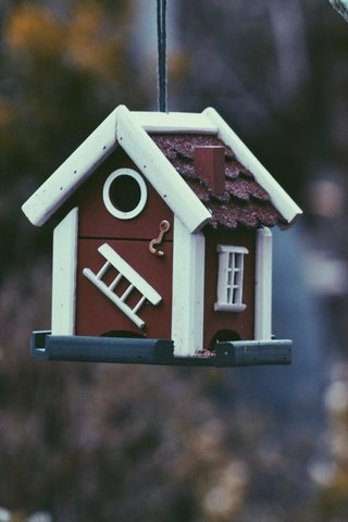 Обои природа, размытость, домик, скворечник, кормушка, птичий домик, nature, blur, house, birdhouse, feeder, bird house разрешение 4288x2848 Загрузить