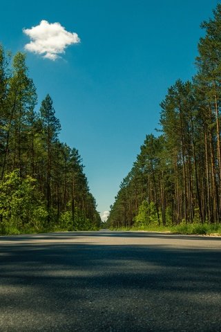 Обои небо, дорога, облака, деревья, лето, the sky, road, clouds, trees, summer разрешение 4446x2964 Загрузить