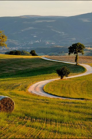 Обои дорога, трава, деревья, холмы, поле, сено, италиа, road, grass, trees, hills, field, hay, italia разрешение 2048x1152 Загрузить