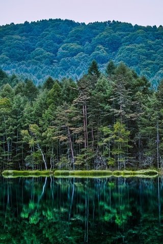 Обои деревья, озеро, природа, лес, отражение, водоем, trees, lake, nature, forest, reflection, pond разрешение 2880x1800 Загрузить