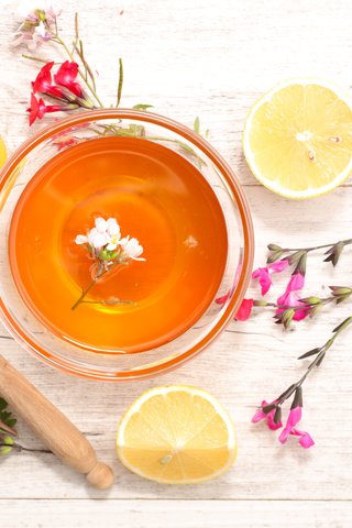 Обои цветы, лимон, чай, мед, flowers, lemon, tea, honey разрешение 8688x5792 Загрузить