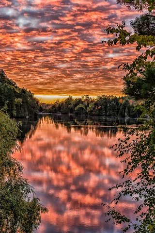 Обои небо, облака, деревья, озеро, природа, закат, отражение, ветки, the sky, clouds, trees, lake, nature, sunset, reflection, branches разрешение 3840x2160 Загрузить