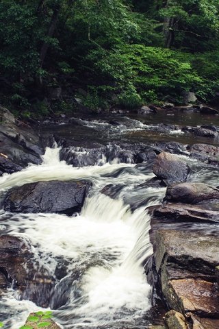 Обои река, скалы, камни, листва, river, rocks, stones, foliage разрешение 3840x2160 Загрузить