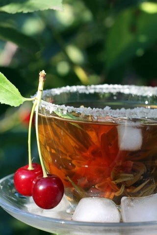 Обои листья, напиток, ягода, лёд, вишня, чашка, чай, leaves, drink, berry, ice, cherry, cup, tea разрешение 1920x1200 Загрузить