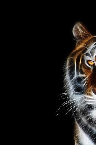 Обои тигр, морда, фон, черный, tiger, face, background, black разрешение 1920x1200 Загрузить
