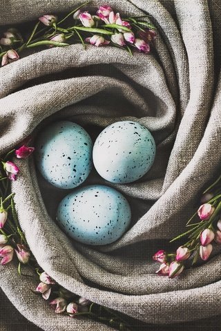 Обои цветы, ткань, пасха, яйца, праздник, гнездо, декор, flowers, fabric, easter, eggs, holiday, socket, decor разрешение 2048x1638 Загрузить