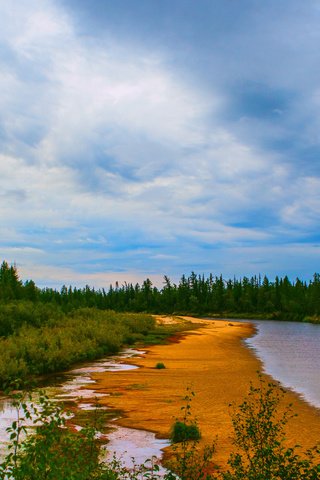 Обои вода, река, природа, берег, зелень, лес, елки, water, river, nature, shore, greens, forest, tree разрешение 1920x1200 Загрузить