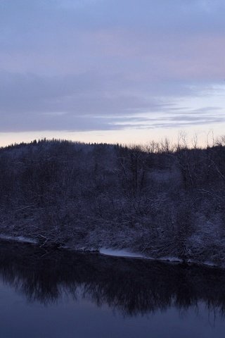 Обои деревья, река, снег, зима, trees, river, snow, winter разрешение 1920x1080 Загрузить