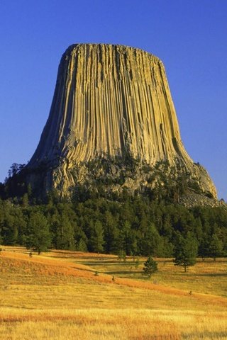 Обои деревья, осень, сша, плато, вайоминг, башня дьявола, trees, autumn, usa, plateau, wyoming, devil's tower разрешение 1920x1080 Загрузить