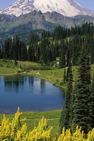 Обои деревья, озеро, горы, природа, отражение, национальный парк, trees, lake, mountains, nature, reflection, national park разрешение 1920x1080 Загрузить