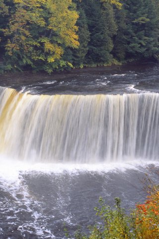 Обои природа, лес, водопад, осень, nature, forest, waterfall, autumn разрешение 1920x1080 Загрузить