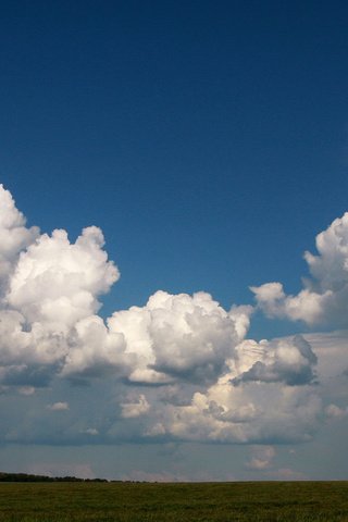 Обои небо, облака, поле, белый, голубой, ясное, the sky, clouds, field, white, blue, clear разрешение 1920x1080 Загрузить