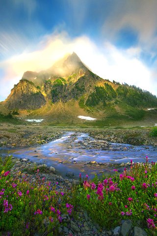 Обои цветы, ручей, гора, flowers, stream, mountain разрешение 1920x1312 Загрузить