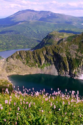 Обои цветы, озеро, горы, flowers, lake, mountains разрешение 1929x1240 Загрузить