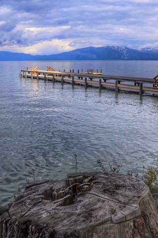 Обои трава, берег, море, будка, пень, grass, shore, sea, booth, stump разрешение 2112x1188 Загрузить