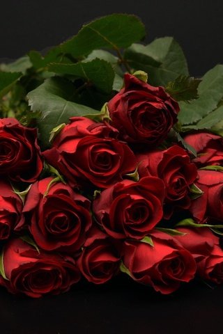 Обои бутоны, фон, букет, темный, красные розы, buds, background, bouquet, dark, red roses разрешение 1920x1280 Загрузить