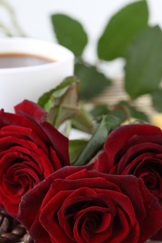 Обои розы, зерна, кофе, красные, сыр, блюдце, чашка, тарелка, roses, grain, coffee, red, cheese, saucer, cup, plate разрешение 2112x1188 Загрузить