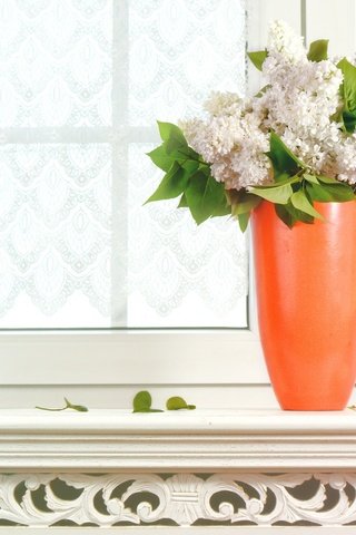 Обои цветы, букет, окно, ваза, сирень, flowers, bouquet, window, vase, lilac разрешение 2048x1373 Загрузить