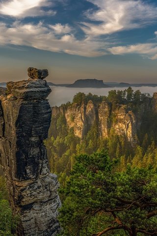 Обои облака, деревья, горы, скалы, утро, туман, германия, саксонская швейцария, clouds, trees, mountains, rocks, morning, fog, germany, saxon switzerland разрешение 2048x1365 Загрузить