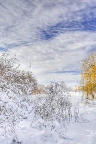 Обои дорога, деревья, снег, зима, пейзаж, road, trees, snow, winter, landscape разрешение 2560x1600 Загрузить