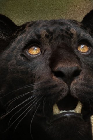 Обои морда, хищник, пантера, чёрная пантера, face, predator, panther, black panther разрешение 2047x1343 Загрузить