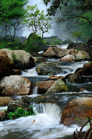 Обои деревья, река, природа, камни, лес, пейзаж, таиланд, течение, trees, river, nature, stones, forest, landscape, thailand, for разрешение 2000x1328 Загрузить