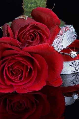 Обои розы, roses разрешение 2580x2350 Загрузить