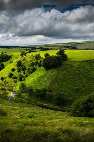 Обои небо, дорога, холмы, кусты, the sky, road, hills, the bushes разрешение 3840x2160 Загрузить