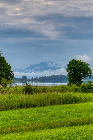 Обои трава, деревья, озеро, река, природа, лес, поле, луг, grass, trees, lake, river, nature, forest, field, meadow разрешение 5065x2848 Загрузить