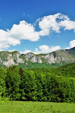 Обои небо, облака, горы, природа, лес, the sky, clouds, mountains, nature, forest разрешение 6000x3376 Загрузить