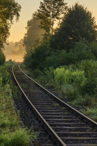 Обои дорога, железная дорога, природа, лес, утро, туман, road, railroad, nature, forest, morning, fog разрешение 2112x1188 Загрузить