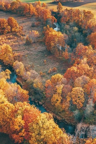 Обои деревья, река, природа, пейзаж, вид сверху, осень, trees, river, nature, landscape, the view from the top, autumn разрешение 3840x2160 Загрузить