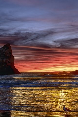 Обои берег, закат, shore, sunset разрешение 3840x2160 Загрузить