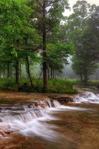 Обои деревья, река, природа, лес, туман, сша, миссури, trees, river, nature, forest, fog, usa, missouri разрешение 2048x1343 Загрузить