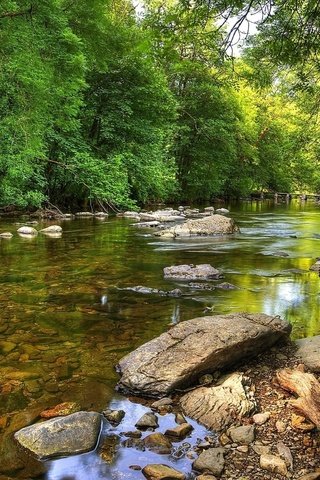 Обои деревья, река, природа, лес, trees, river, nature, forest разрешение 1920x1080 Загрузить