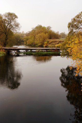 Обои деревья, река, природа, мост, осень, trees, river, nature, bridge, autumn разрешение 6000x4000 Загрузить