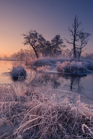 Обои деревья, река, восход, утро, рассвет, иней, осень, trees, river, sunrise, morning, dawn, frost, autumn разрешение 2048x1365 Загрузить