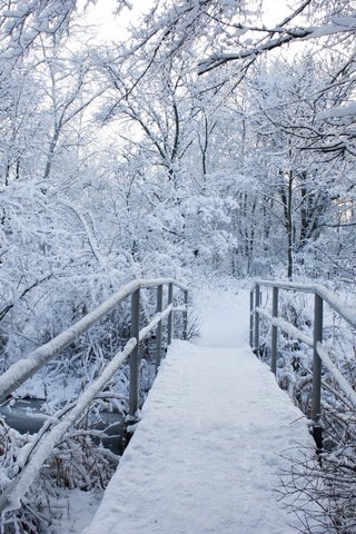 Обои деревья, снег, природа, зима, пейзаж, мост, trees, snow, nature, winter, landscape, bridge разрешение 4272x2848 Загрузить