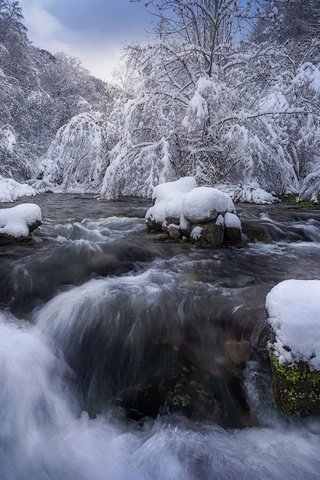 Обои деревья, ветки, вода, водопад, река, иней, снег, поток, камни, речка, течение, берег, заснеженный, лес, зима, trees, branches, water, waterfall, river, frost, snow, stream, stones, for, shore, snowy, forest, winter разрешение 2048x1366 Загрузить